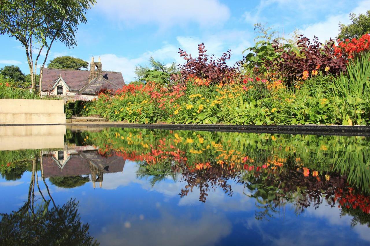 June Blake'S Garden Blessington Eksteriør billede