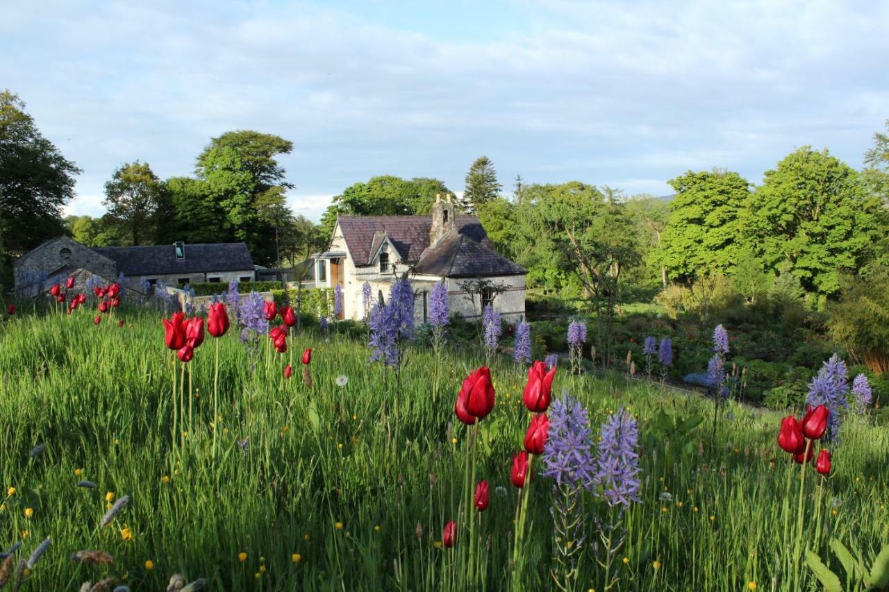 June Blake'S Garden Blessington Eksteriør billede