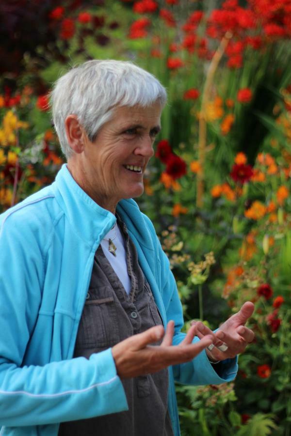 June Blake'S Garden Blessington Eksteriør billede